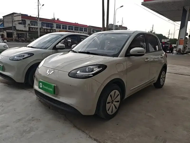 Wuling Bingo, 2023