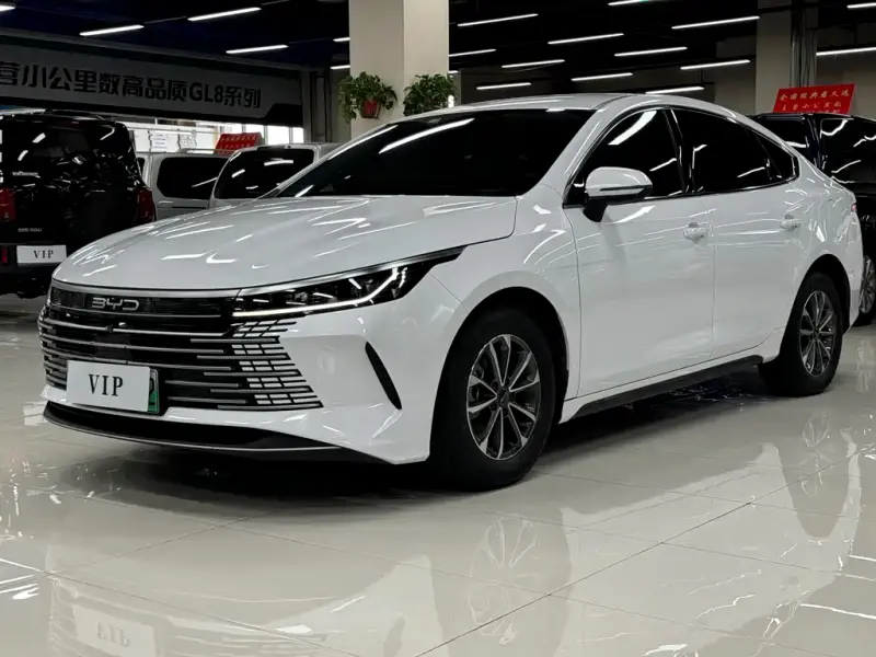 BYD Destroyer 05, 2024
