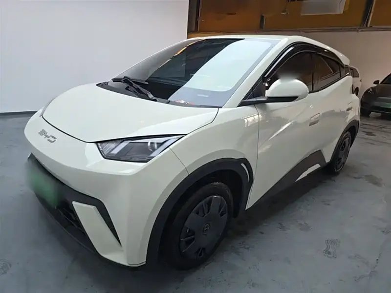 BYD Seagull, 2024