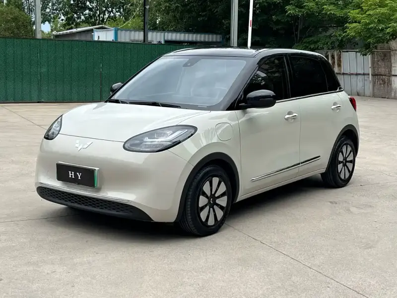 Wuling Bingo, 2023