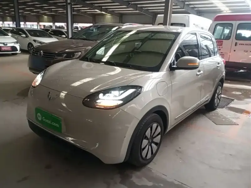 Wuling Bingo, 2024