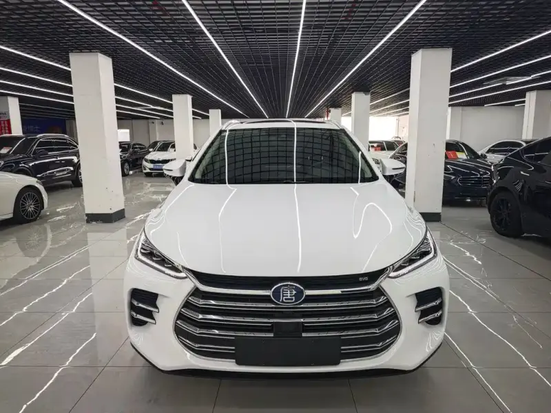 BYD Tang New Energy, 2019