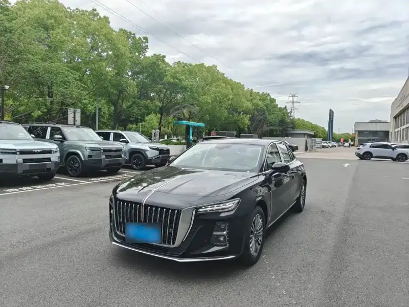 Hongqi H5, 2025