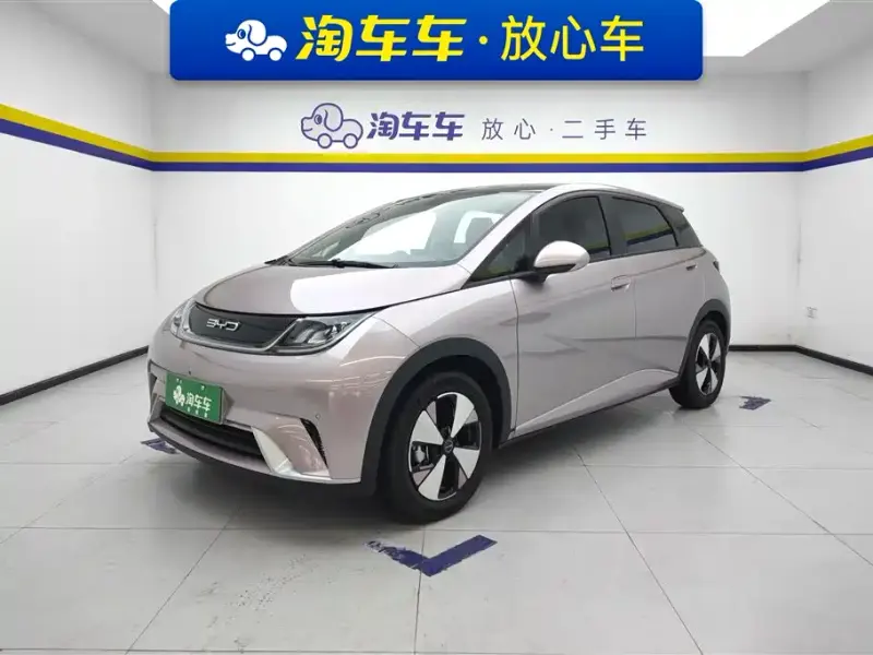 BYD Dolphin, 2024