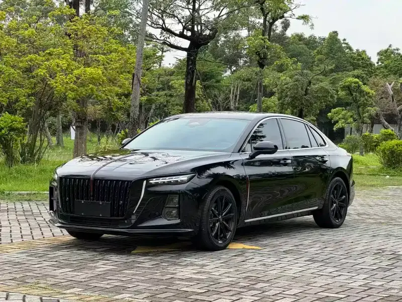 Hongqi H5, 2024