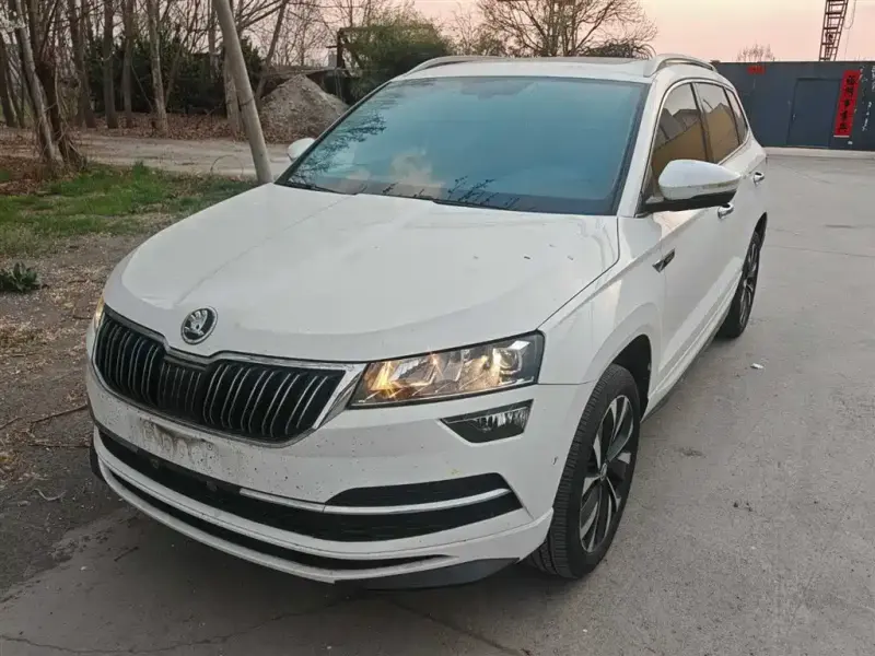Skoda Karoq, 2024