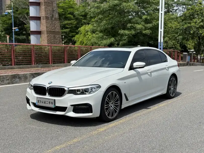 BMW 5 Series, 2019
