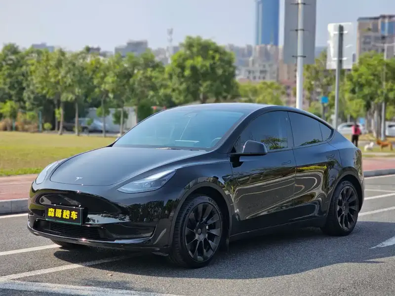Tesla Model Y, 2023