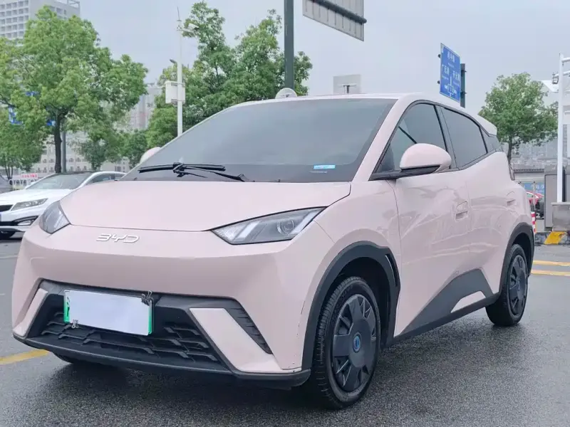 BYD Seagull, 2024