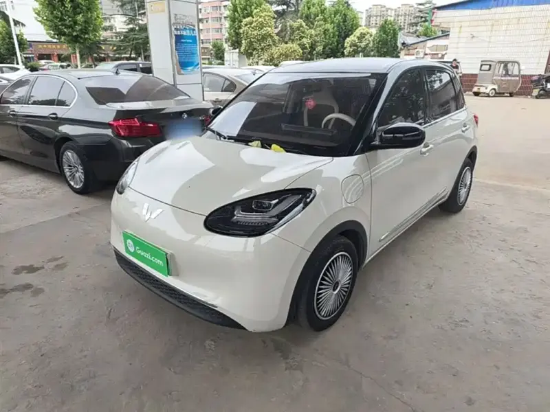 Wuling Bingo, 2024