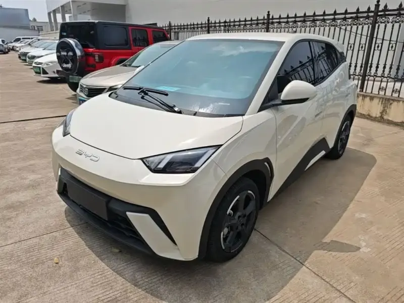 BYD Seagull, 2024