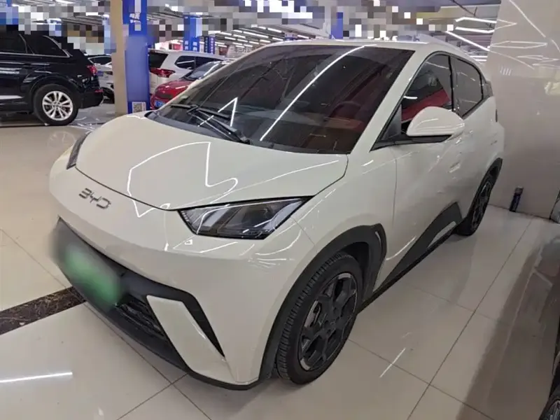 BYD Seagull, 2024
