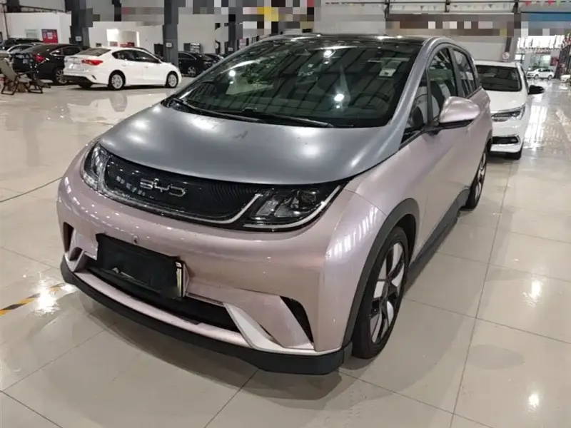 BYD Dolphin, 2022