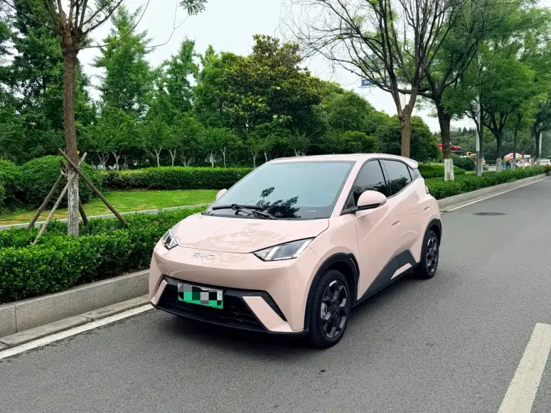 BYD Seagull, 2025