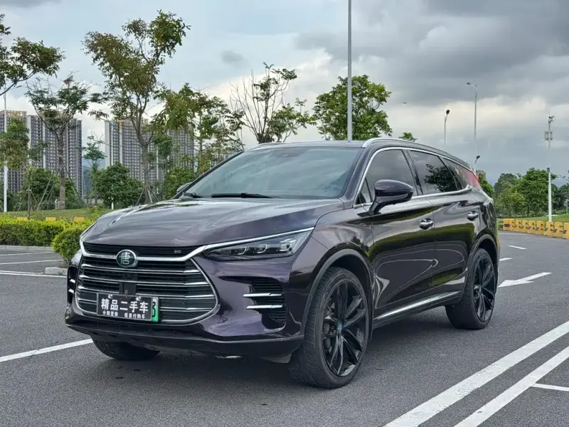 BYD Tang New Energy, 2019