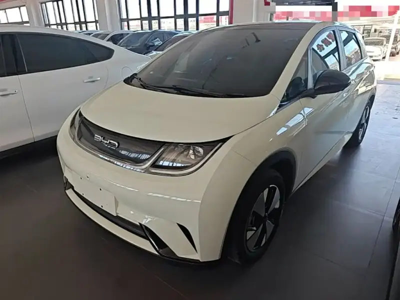 BYD Dolphin, 2023