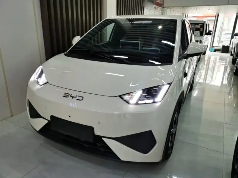 BYD Seagull, 2025