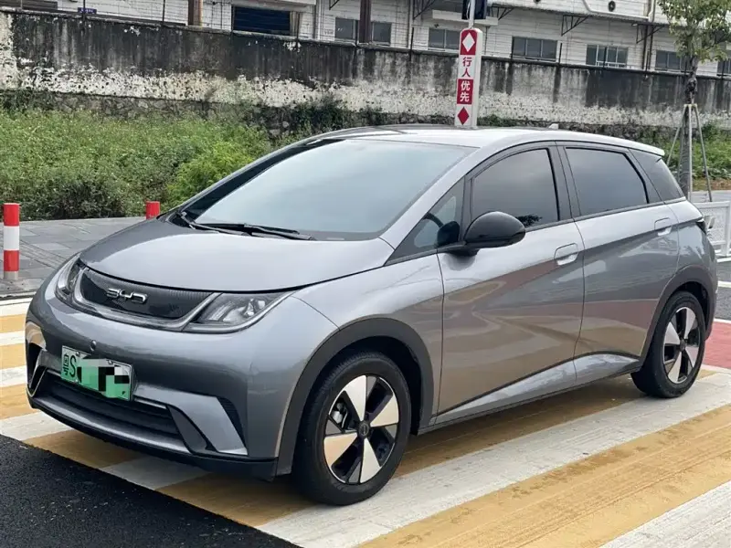 BYD Dolphin, 2024