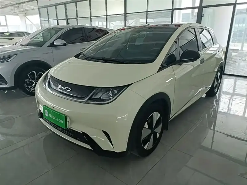 BYD Dolphin, 2024