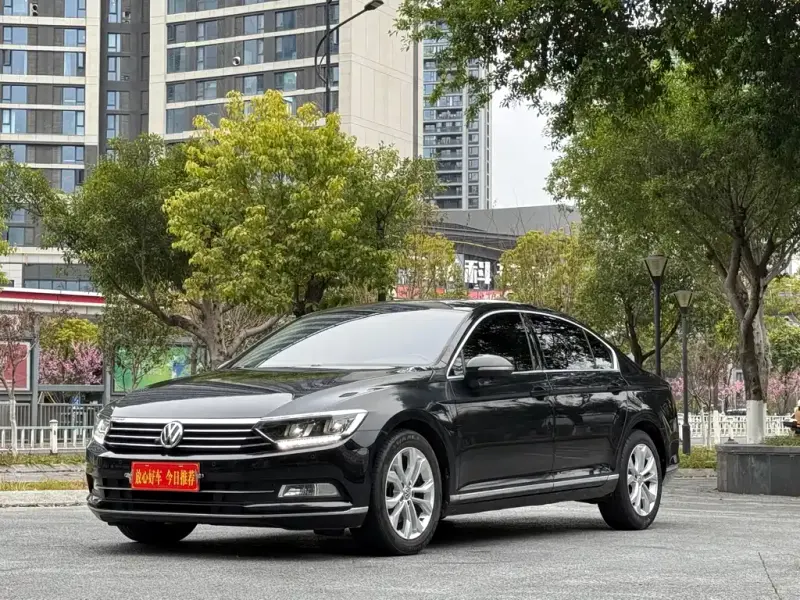 Volkswagen Magotan, 2019