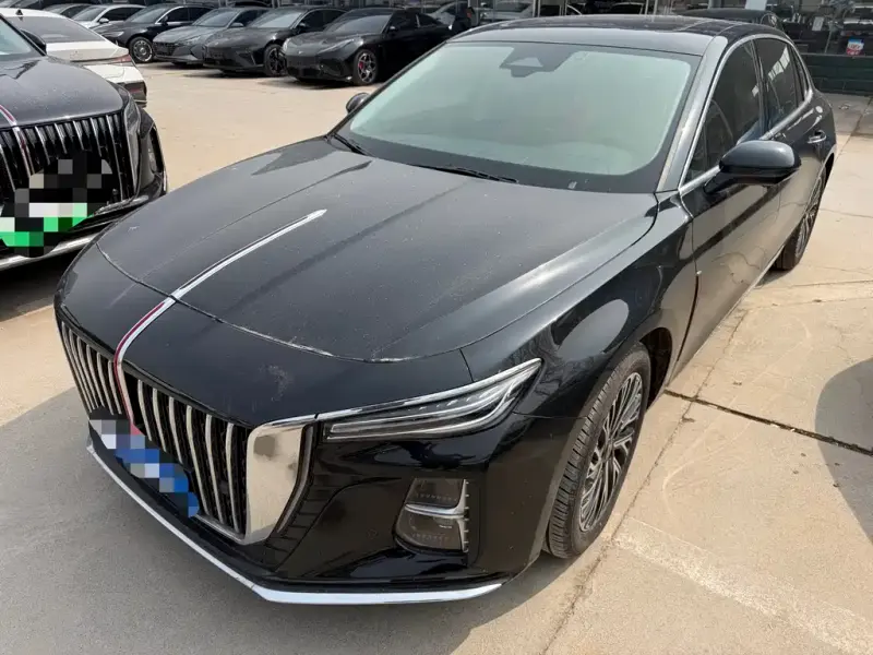 Hongqi H5, 2024