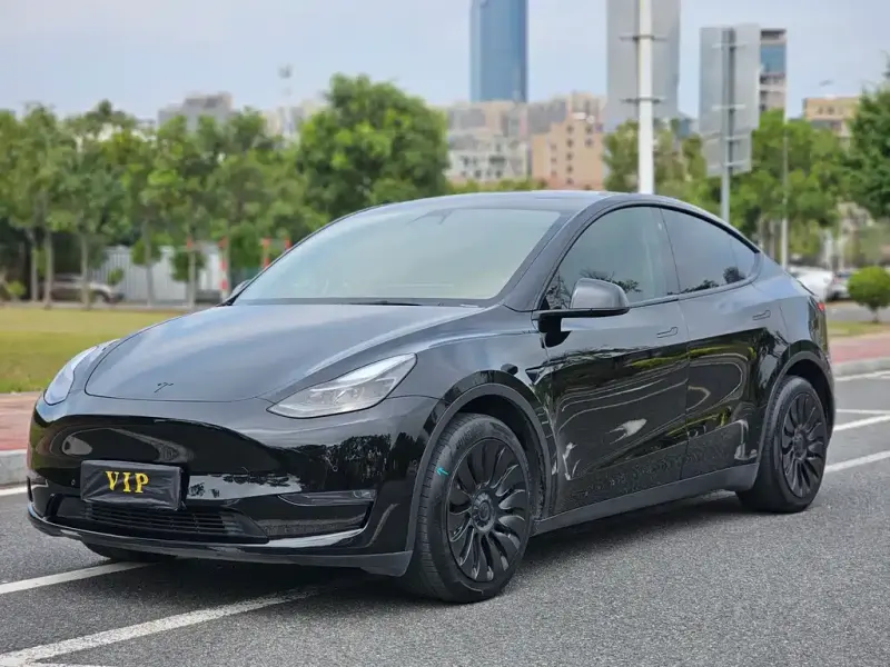 Tesla Model Y, 2021