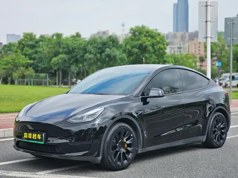 Tesla Model Y, 2023