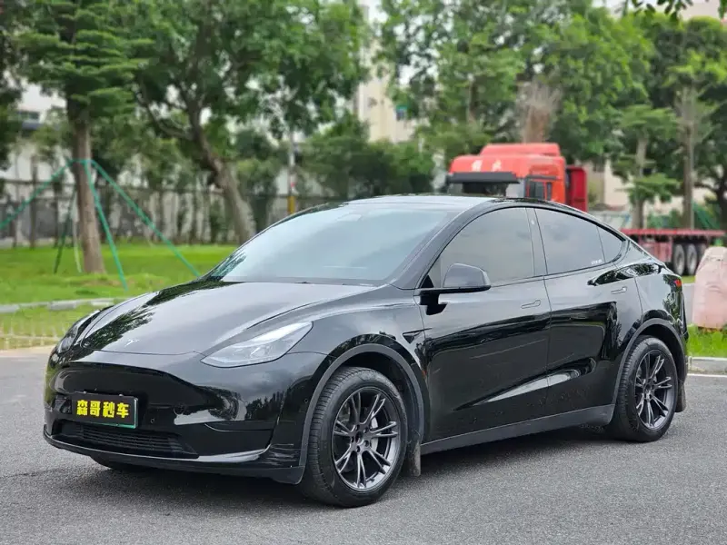Tesla Model Y, 2024