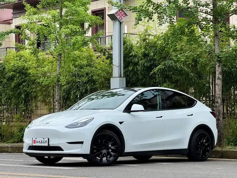 Tesla Model Y, 2021