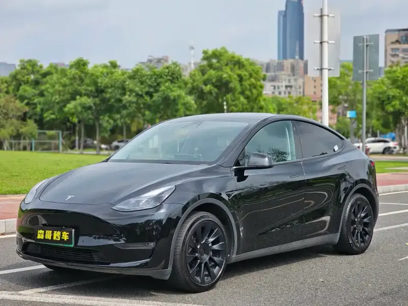 Tesla Model Y, 2023