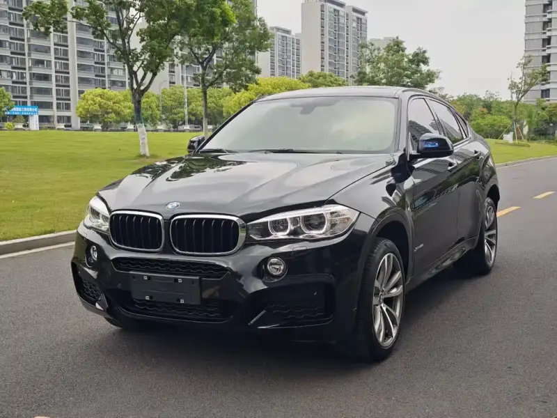 BMW X6, 2019