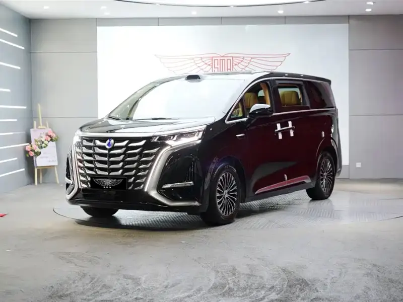 Denza D9, 2025