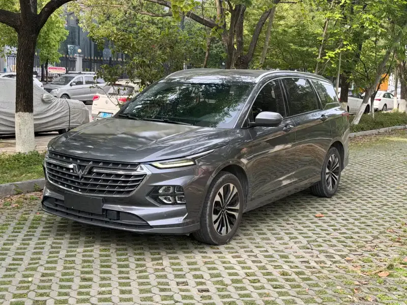 Wuling Victory, 2021