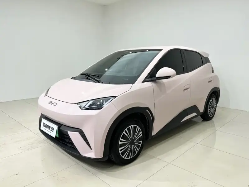 BYD Seagull, 2024