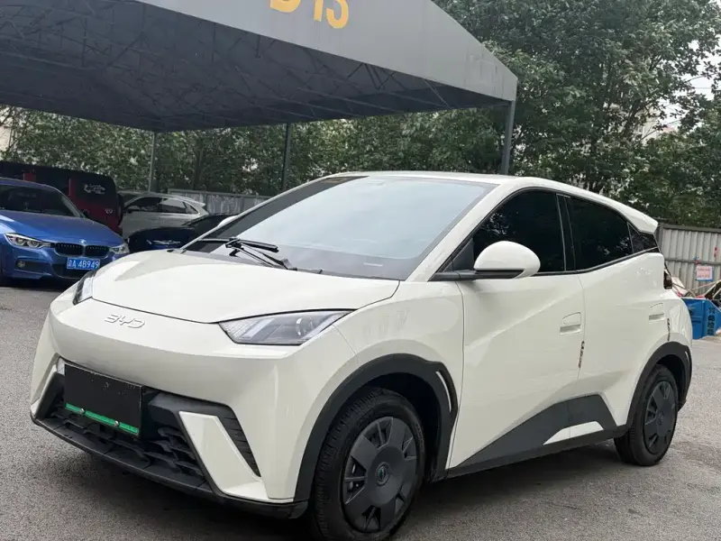 BYD Seagull, 2025