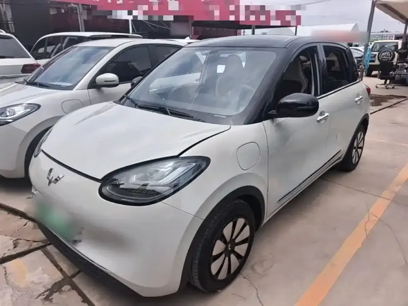 Wuling Bingo, 2025