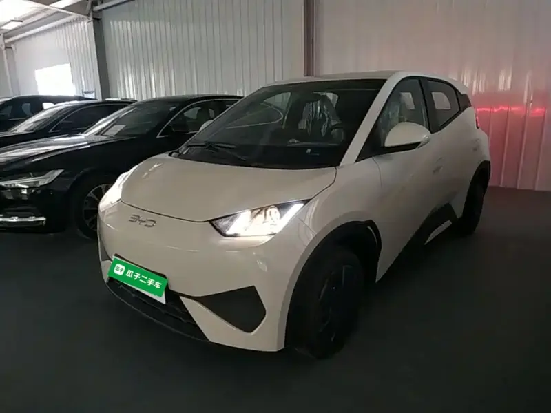 BYD Seagull, 2026