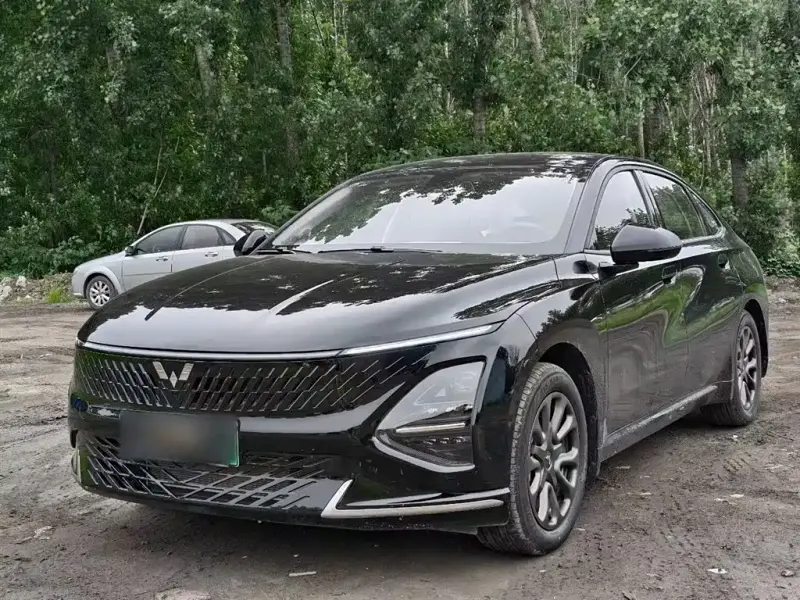 Wuling Xingguang, 2025