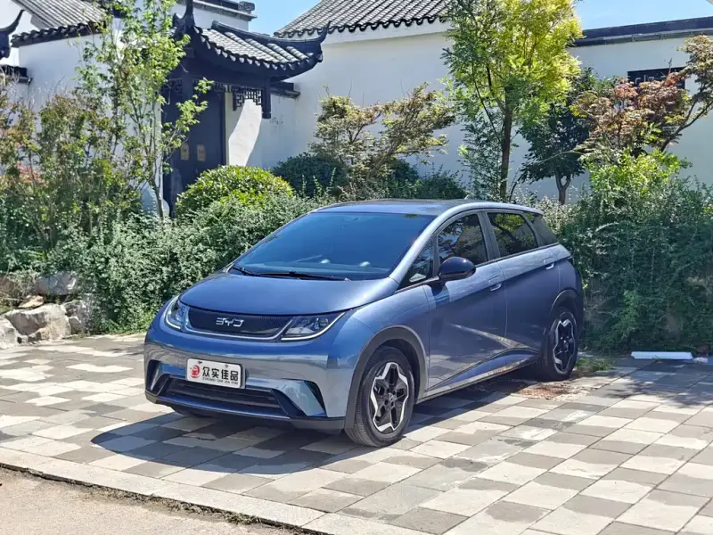 BYD Dolphin, 2024