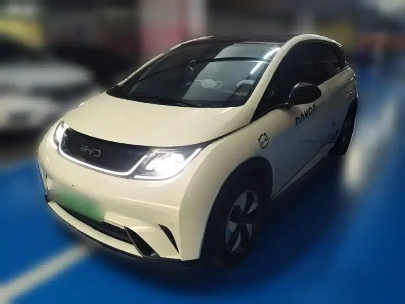 BYD Dolphin, 2024