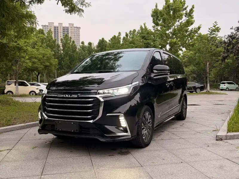 Maxus G20, 2019
