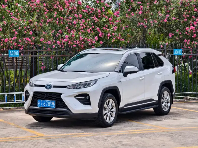 Toyota Wildlander, 2020
