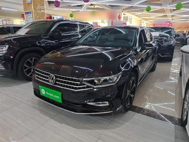 Volkswagen Magotan, 2024