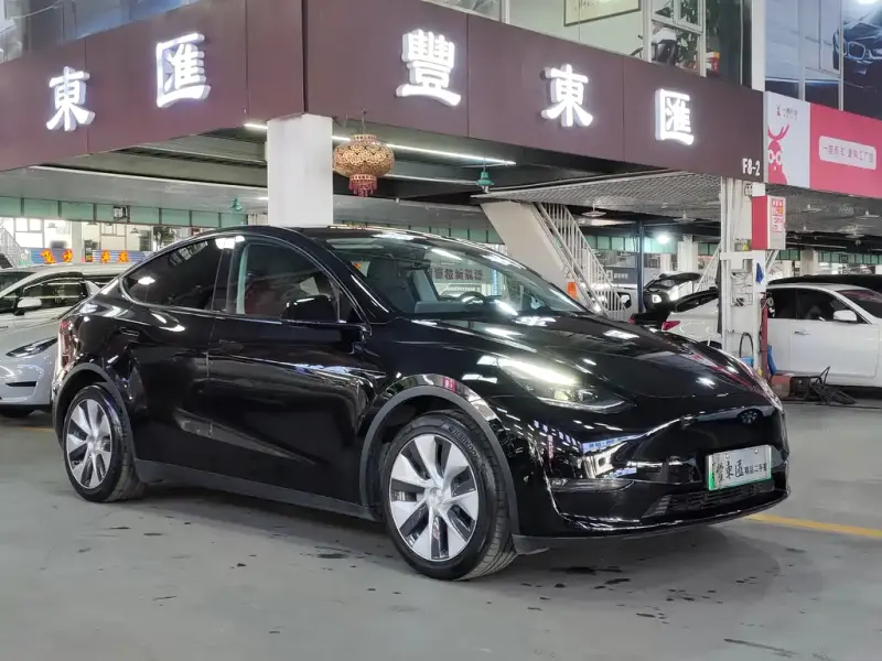 Tesla Model Y, 2021