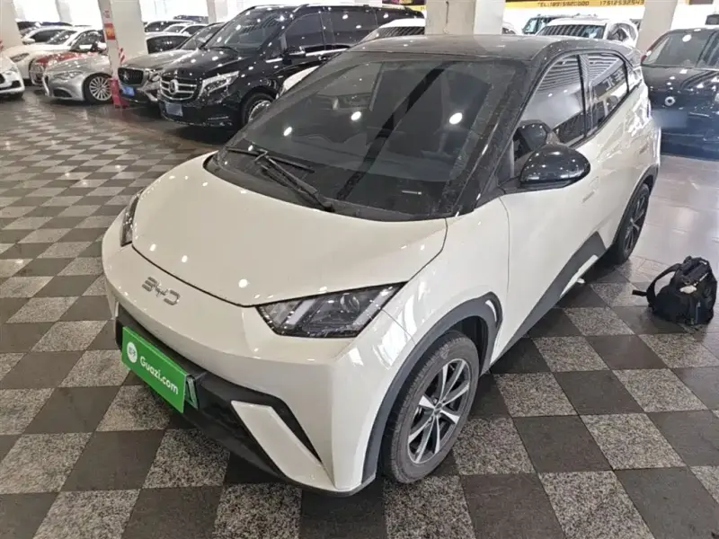 BYD Seagull, 2024