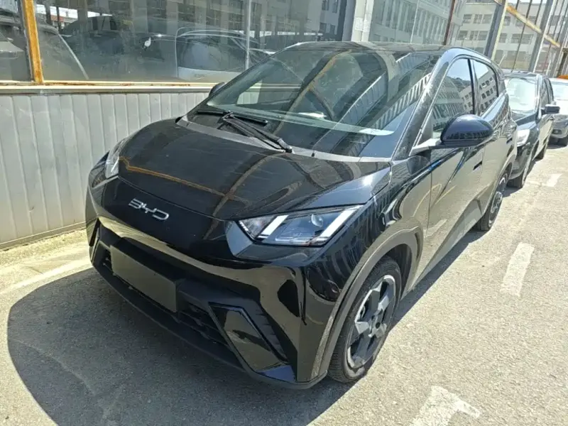 BYD Seagull, 2024