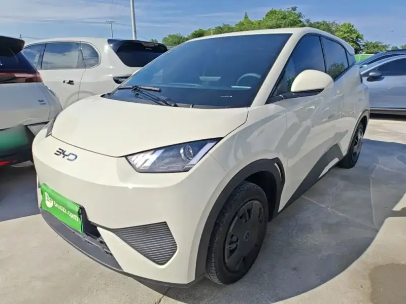 BYD Seagull, 2025