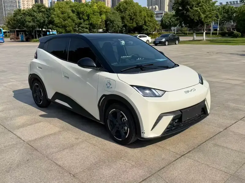 BYD Seagull, 2024