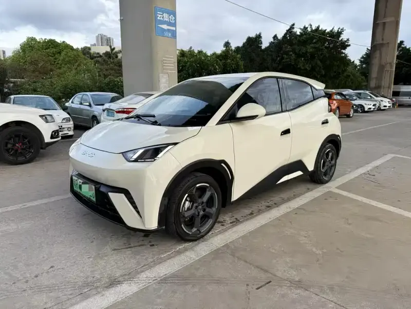 BYD Seagull, 2024