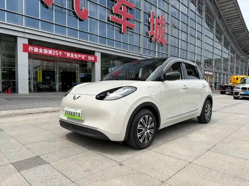 Wuling Bingo, 2024